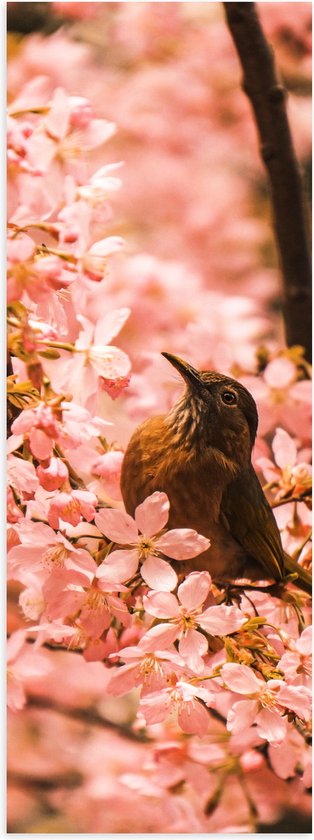 Poster (Mat) - Bloemen - Dieren - Vogel - Kleuren - 20x60 cm Foto op Posterpapier met een Matte look