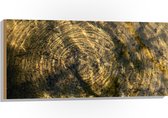 Hout - Vies Water met Regendruppels - 100x50 cm - 9 mm dik - Foto op Hout (Met Ophangsysteem)