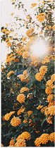 Poster Glanzend – Bloemen - Planten - Groen - Oranje - Zon - 30x90 cm Foto op Posterpapier met Glanzende Afwerking