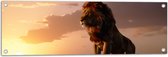 Tuinposter – Leeuw op Rots met Zonsondergang - 90x30 cm Foto op Tuinposter (wanddecoratie voor buiten en binnen)