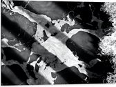 Dibond - Zwart met Witte Mix van Kleuren - 80x60 cm Foto op Aluminium (Wanddecoratie van metaal)