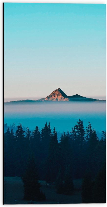 Dibond - Bergtop boven de Wolken - 50x100 cm Foto op Aluminium (Met Ophangsysteem)