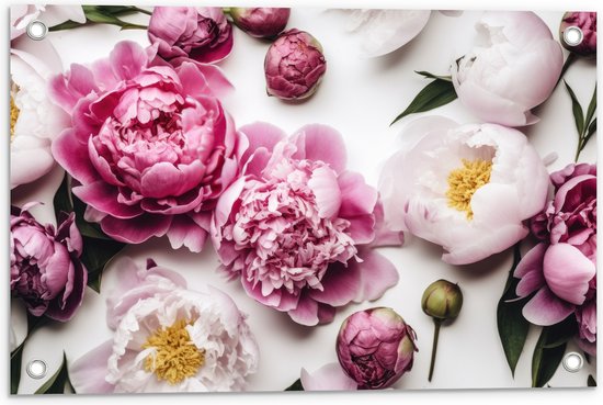 Tuinposter – Mix van Roze en Witte Bloemen op Witte Achtergrond - 60x40 cm Foto op Tuinposter (wanddecoratie voor buiten en binnen)
