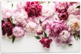 PVC Schuimplaat- Mix van Roze Bloemen op Witte Achtergrond - 60x40 cm Foto op PVC Schuimplaat