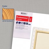 CX Professional Canvas Schildersdoek 100x120 3 stuks