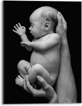 Acrylglas - Pasgeboren Baby in Handen van Vader (Zwart- wit) - 30x40 cm Foto op Acrylglas (Wanddecoratie op Acrylaat)