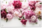 Tuinposter – Mix van Roze Bloemen op Witte Achtergrond - 60x40 cm Foto op Tuinposter (wanddecoratie voor buiten en binnen)