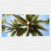 Muursticker - Onderaanzicht van de Hoge Smalle Palmbomen onder Schapenwolken - 100x50 cm Foto op Muursticker
