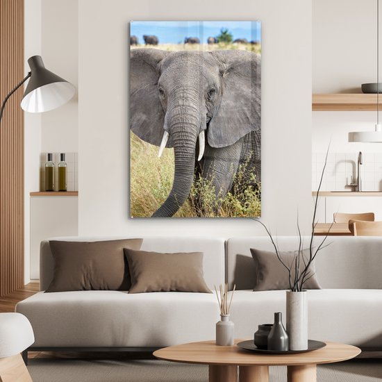 MuchoWow® Peinture sur verre 80x120 cm - Peinture sur verre acrylique - Éléphant - Animaux - Herbe - Nature - Photo sur verre - Peintures