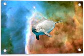 Tuinposter – Dolfijn in het Heelal - 60x40 cm Foto op Tuinposter (wanddecoratie voor buiten en binnen)