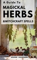 A Guide To Magickal Herbs & Witchcraft Spells