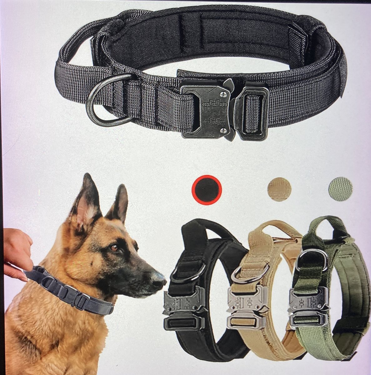 Grannies - Strike - L - Halsband Hond - Hondenriem - 1,5 m - Metalen sluiting - Hond onder controle - Training - Black
