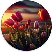 Dibond Muurcirkel - Kleurrijke Tulpen in Bloemenveld - 60x60 cm Foto op Aluminium Muurcirkel (met ophangsysteem)