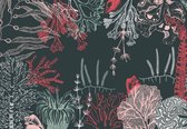 Fotobehang - Vlies Behang - Onderwaterplanten - Koraal - Zee - Kunst - 416 x 290 cm