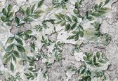 Fotobehang - Vlies Behang - Bladeren op Betonnen Muur - 208 x 146 cm