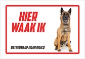 Waakbord/ bord | "Hier waak ik" | 30 x 20 cm | Belgische Herder | Dikte: 1 mm | Herdershond | Mechelse Herder | Gevaarlijke hond | Waakhond | Hond | Betreden op eigen risico | Polystyreen | Rechthoek | Witte achtergrond | 1 stuk