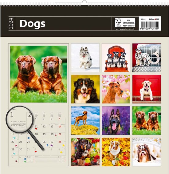 Plentygifts Calendrier 2024 - chats et chiens