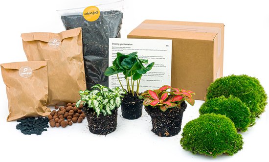 Foto: Planten terrarium pakket coffea arabica 3 terrarium planten ecosysteem plant startpakket navulling diy ecosysteem planten set inclusief planten substraat terrarium potgrond bolmos actieve kool handleiding en tips urbanjngl