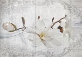 Fotobehang - Vlies Behang - Witte Magnolia Bloem - 416 x 254 cm