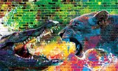 Fotobehang - Vlies Behang - Krokodil vs Leeuwin Graffiti Kunst - 254 x 184 cm