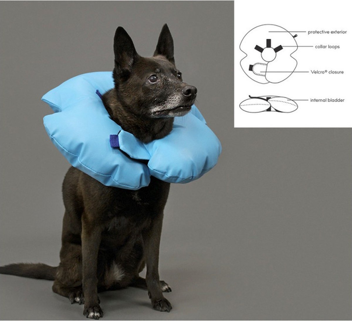 Herdersbal voor honden, groot, opblaasbaar, scheurvast, interactief