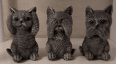 kat horen zien zwijgen decoratief beeld beton grijs 12cm hoog poes katjes poezen