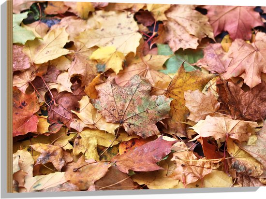 Hout - Stapel Herfstbladeren in Verschillende Kleuren - 80x60 cm - 9 mm dik - Foto op Hout (Met Ophangsysteem)
