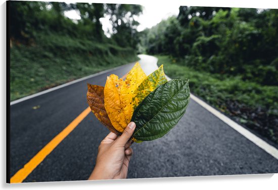Canvas - Van Bruin naar Groen Blad in Mensenhand - 150x100 cm Foto op Canvas Schilderij (Wanddecoratie op Canvas)