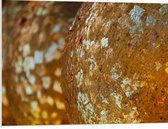 PVC Schuimplaat- Close-up van Bolvormige Gouden Ballen - 80x60 cm Foto op PVC Schuimplaat