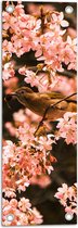 Tuinposter – Bloemen - Planten - Dieren - Vogel - Roze - 20x60 cm Foto op Tuinposter (wanddecoratie voor buiten en binnen)