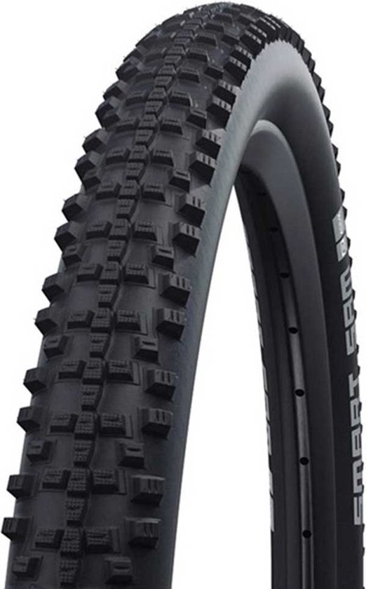 Foto: Schwalbe smart sam performance dd bronz skin vouwband 29x2 60