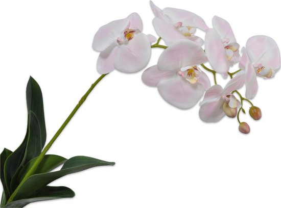 Silk-ka Kunstbloem-Zijde Bloem Orchidee Blad 80 cm