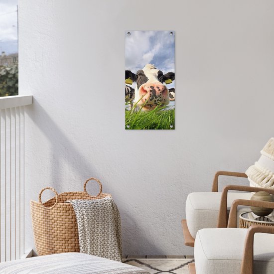 Poster de jardin Vache - Ferme - Herbe - Animaux - 30x60 cm - Toile jardin - Poster extérieur