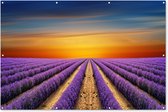 Muurdecoratie Een groot lavendelveld met een kleurrijke hemel - 180x120 cm - Tuinposter - Tuindoek - Buitenposter