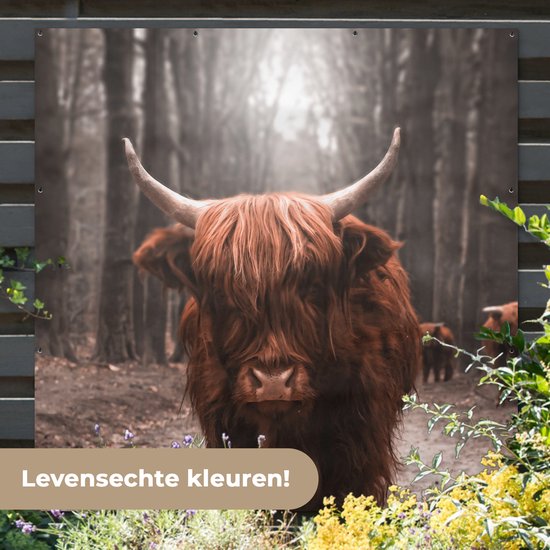 Affiche de Jardin Highlander écossais - Animaux - Vaches - 200x200 cm