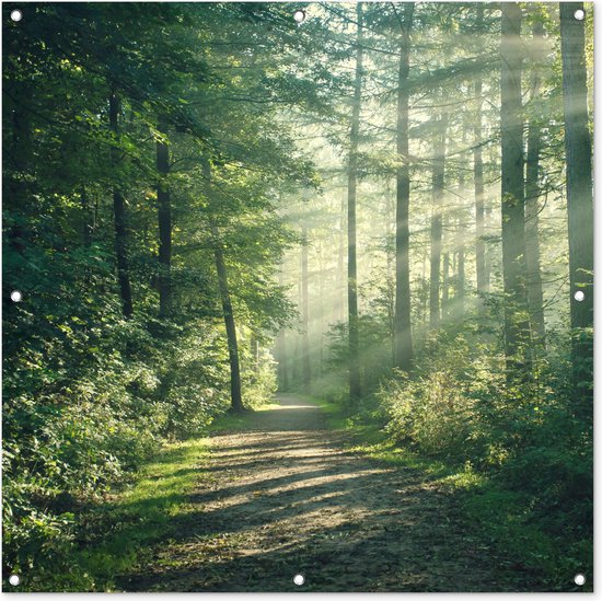 Tuinposter 100x100 cm - Tuindecoratie Bos - Pad - Zon - Bomen - Groen - Natuur - Poster voor in de tuin - Buiten decoratie - Schutting tuinschilderij - Tuindoek muurdecoratie - Wanddecoratie balkondoek