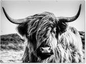 Muurdecoratie buiten Koe - Schotse hooglander - Zwart - Wit - Dier - Natuur - Wild - 160x120 cm - Tuindoek - Buitenposter