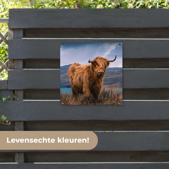 Posters de Posters de jardin Scottish Highlander - Berg - Water - 50x50 cm