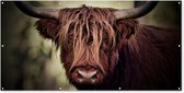 Schuttingposter Schotse hooglander - Licht - Portret - Natuur - 200x100 cm - Tuindoek
