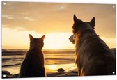 Tuinposter – Hond en Kat Kijkend naar de Ondergaande Zon - 120x80 cm Foto op Tuinposter (wanddecoratie voor buiten en binnen)