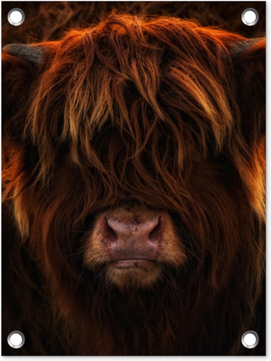 Inductiebeschermer Mat – Schotse Hooglander Print – 60x52 Cm – Beschermt Je Kookplaat