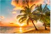 Zonsondergang - Palmboom
