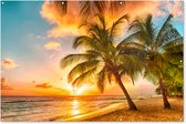 Tuinposter zonsondergang - Tuindecoratie tropisch strand - 180x120 cm - Tuinschilderij voor buiten - Tuindoek palmboom beach - Wanddecoratie tuin - Schuttingdoek - Balkon decoratie - Muurdecoratie - Buitenschilderij