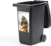 Container sticker Katten  - Nieuwsgierige kat op krabpaal - 40x60 cm - kliko sticker - weerbestendige containersticker