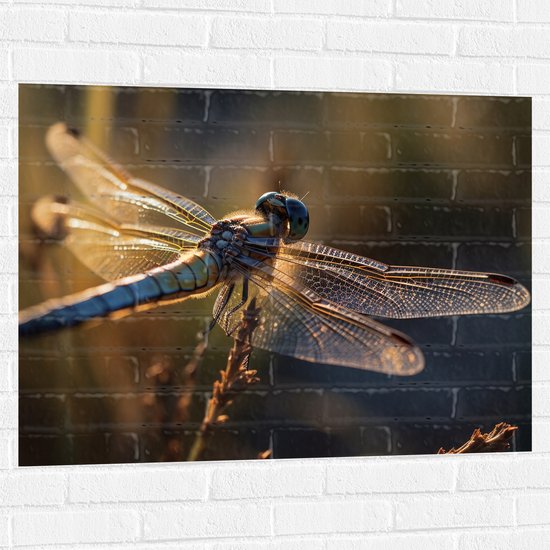 Foto: Muursticker blauwe libel staat op bloem met gedetaileerde doorzichtige vleugels 100x75 cm foto op muursticker