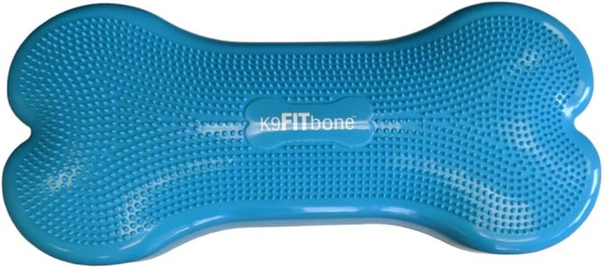 FitPAWS - Dierenbalansplatform - Giant - K9FITbone - PVC - Turquoise