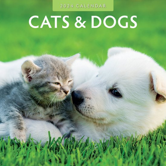 Cats & Dogs Kalender 2024