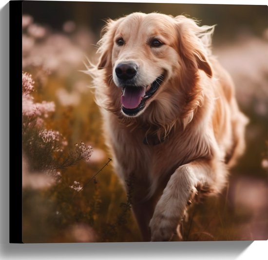 Canvas - Goldenretriever rent door bloemenveld heen - 40x40 cm Foto op Canvas Schilderij (Wanddecoratie op Canvas)