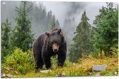 Tuinposter – Bruine beer in bos met grote bomen en bergen - 90x60 cm Foto op Tuinposter (wanddecoratie voor buiten en binnen)