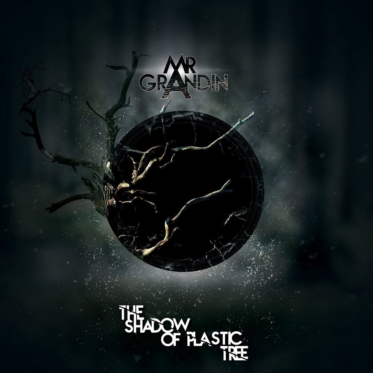 Mr. Grandin - The Shadow Of Plastic Tree (CD)